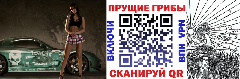 Купить где  Горнозаводск  Галлюциногенные грибы Psilocybine cubensis 