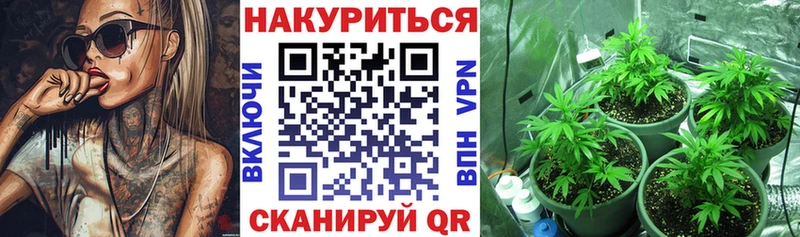 Конопля OG Kush Горнозаводск
